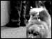 DSCN0966