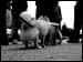 DSCN0969