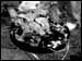 DSCN0986
