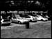 DSCN0987